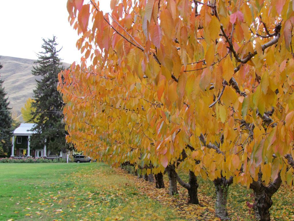 Warm Springs Inn & Winery Sunnyslope Luaran gambar
